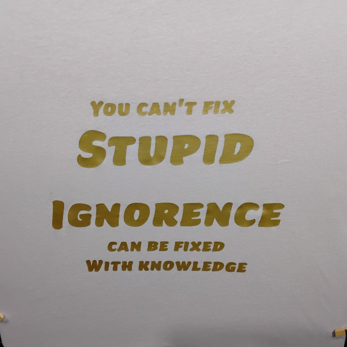 Can't fix stupid